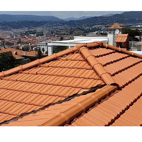 Couvreur à Nice